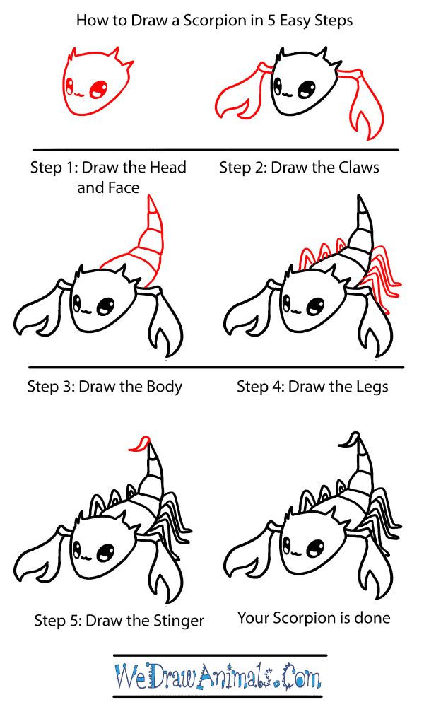 How to Draw a Baby Scorpion - Step-by-Step Tutorial