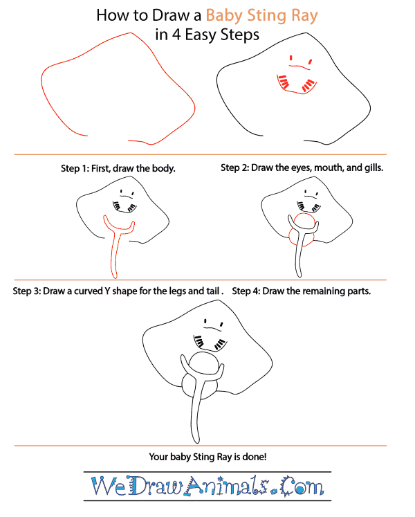 How to Draw a Baby Stingray - Step-by-Step Tutorial
