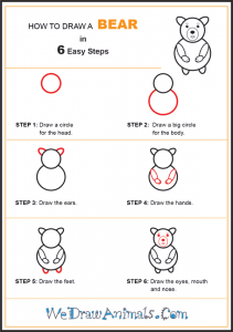 How to Draw a Simple Bear for Kids