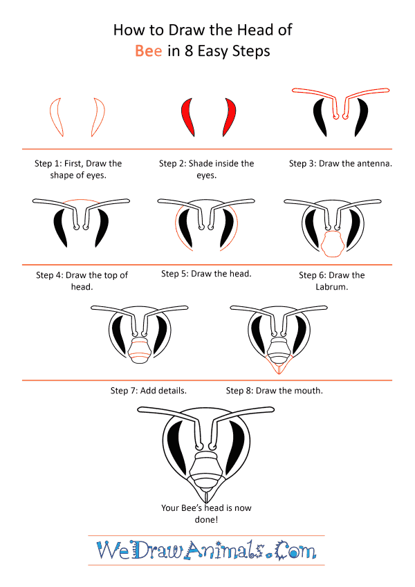 How to Draw a Bee Face - Step-by-Step Tutorial