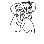 How to Draw a Boxer Dog