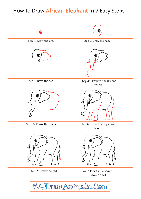How to Draw a Cartoon African Elephant - Step-by-Step Tutorial
