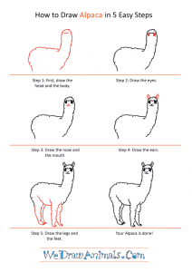 How to Draw a Cartoon Alpaca