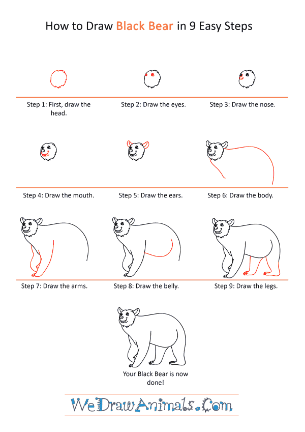 How to Draw a Cartoon Black Bear - Step-by-Step Tutorial