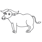 How to Draw a Buffalo