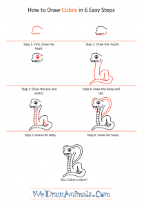 how to draw a python Images High Quality Grahic How to Draw a Cartoon Cobra