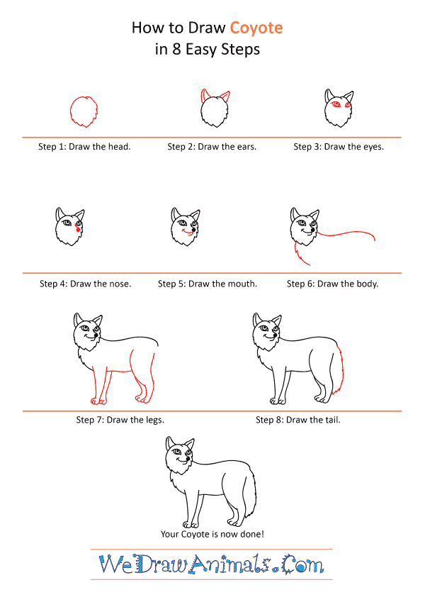 How to Draw a Cartoon Coyote - Step-by-Step Tutorial