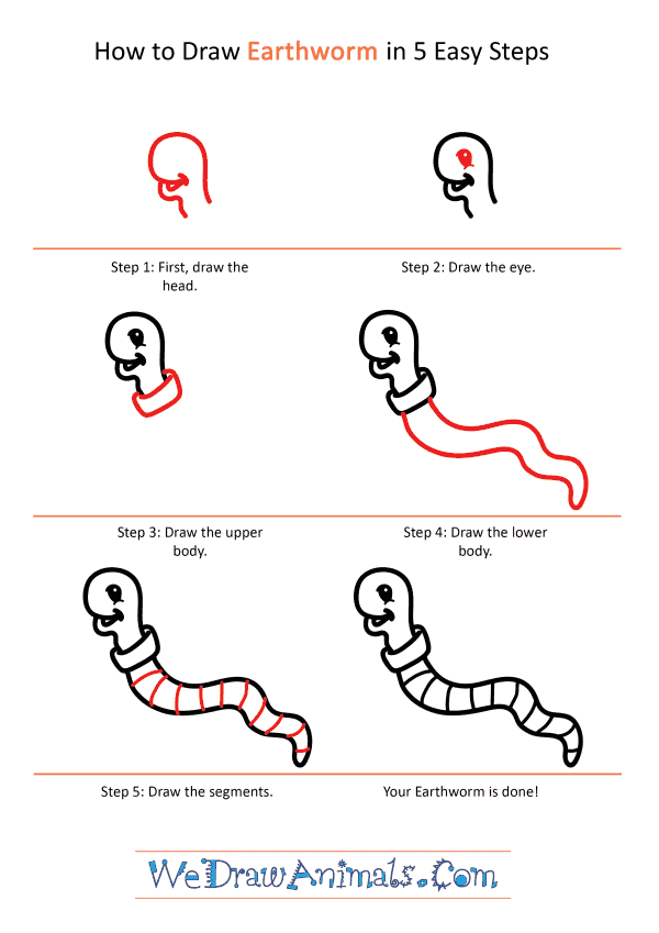 How to Draw a Cartoon Earthworm - Step-by-Step Tutorial