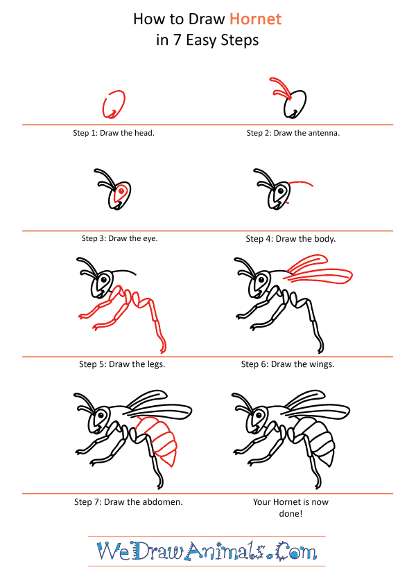 How to Draw a Cartoon Hornet - Step-by-Step Tutorial