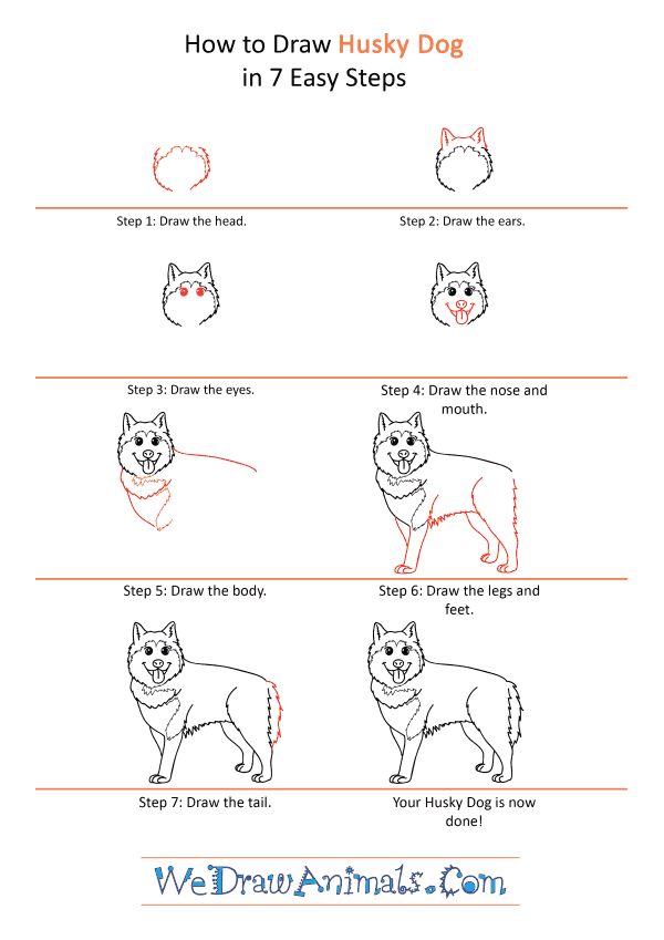 How to Draw a Cartoon Husky Dog - Step-by-Step Tutorial
