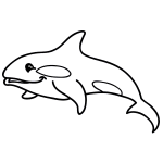 How to Draw a Killer Whale