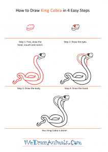 How to Draw a Cartoon King Cobra