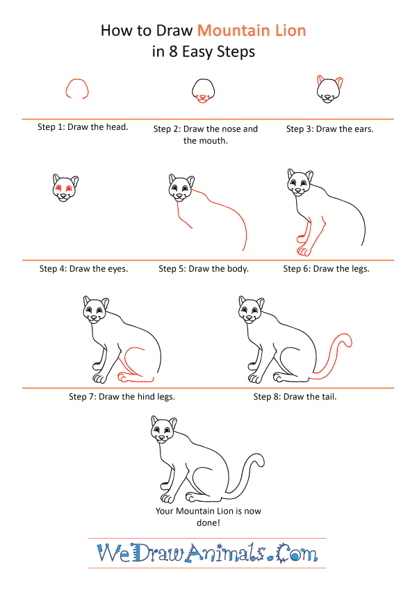 How to Draw a Cartoon Mountain Lion - Step-by-Step Tutorial