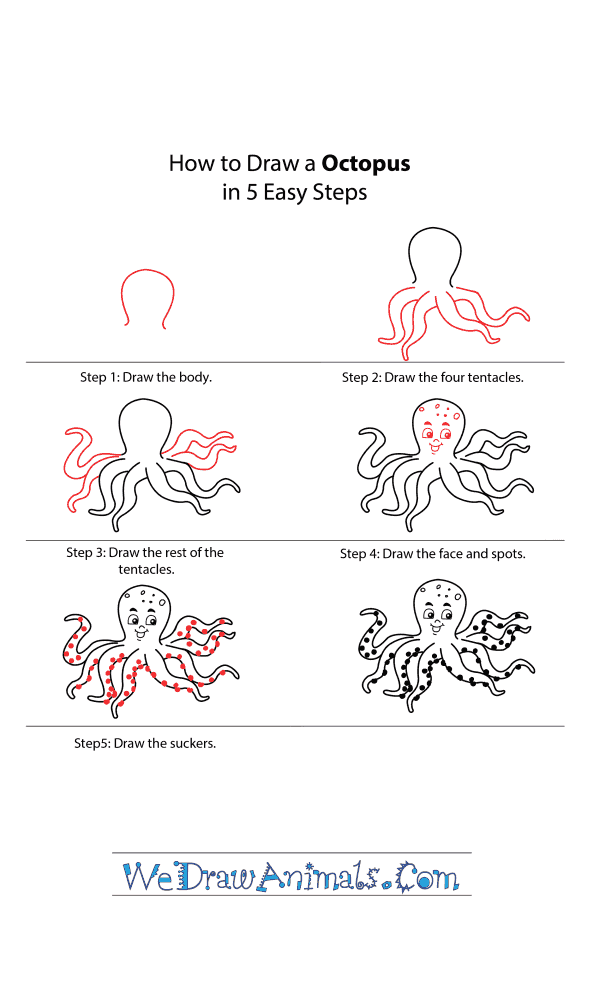 How to Draw a Cartoon Octopus - Step-by-Step Tutorial