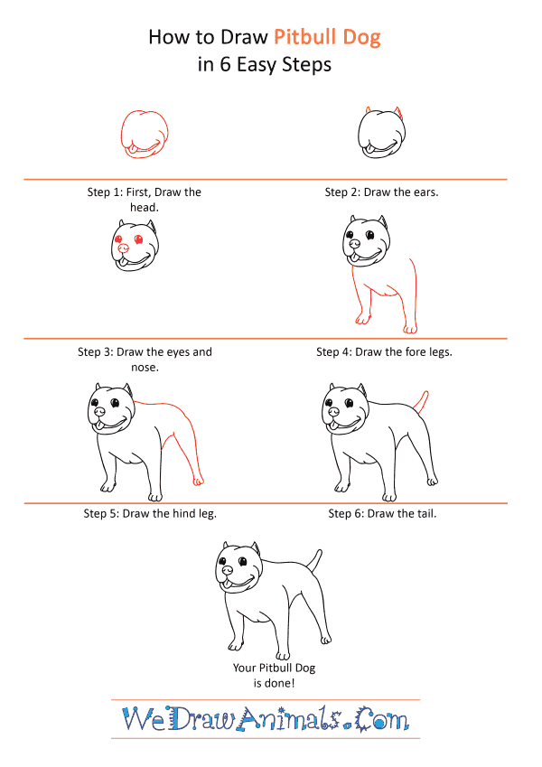 How to Draw a Cartoon Pitbull Dog - Step-by-Step Tutorial