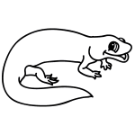 How to Draw a Salamander