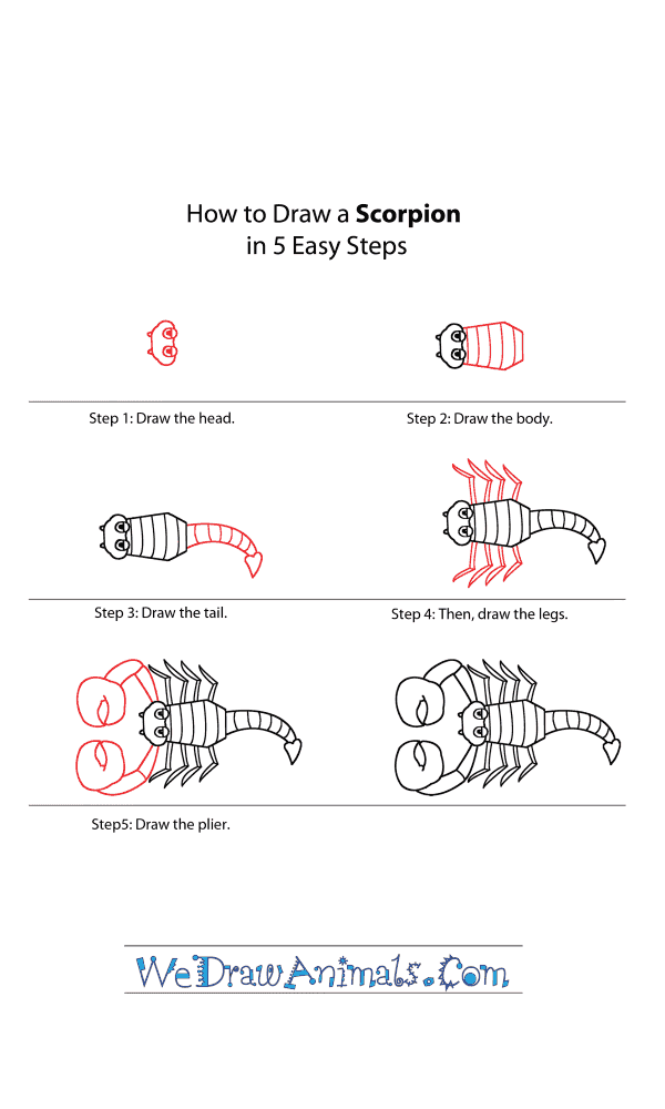 How to Draw a Cartoon Scorpion - Step-by-Step Tutorial