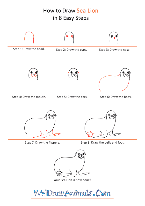 How to Draw a Cartoon Sea Lion - Step-by-Step Tutorial