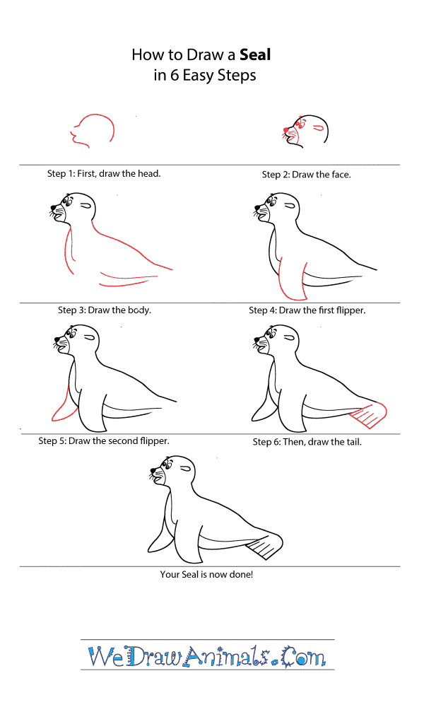 How to Draw a Cartoon Seal - Step-by-Step Tutorial