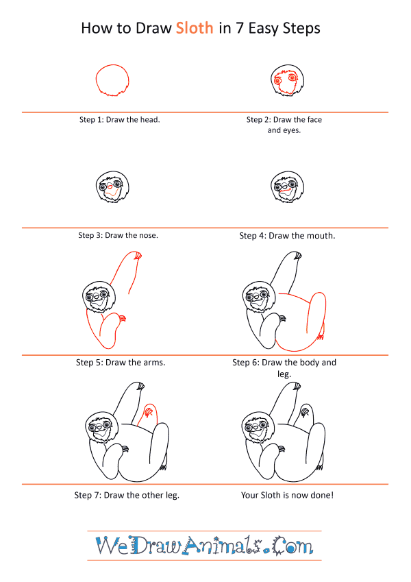 How to Draw a Cartoon Sloth - Step-by-Step Tutorial