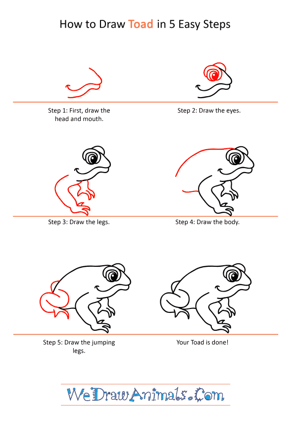 How to Draw a Cartoon Toad - Step-by-Step Tutorial