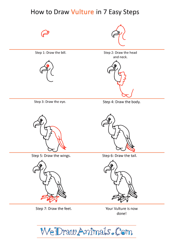 How to Draw a Cartoon Vulture - Step-by-Step Tutorial