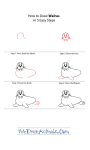 how to draw walrus How to draw a simple walrus for kids