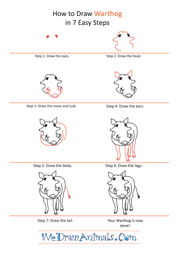 How to Draw a Cartoon Warthog - Step-by-Step Tutorial