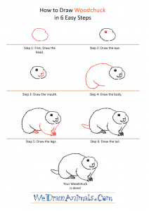 How to Draw a Cartoon Woodchuck