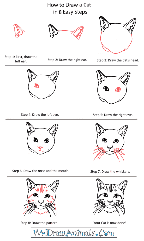 Step By Step Cat Face Drawing - Cat Drawing Easy | Bodaswasuas