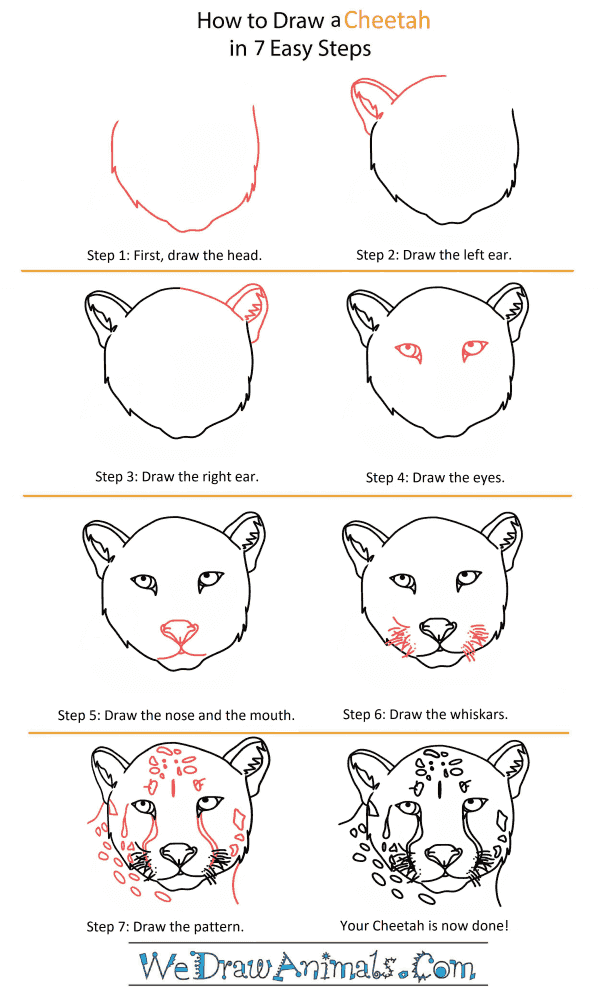 How to Draw a Cheetah Head