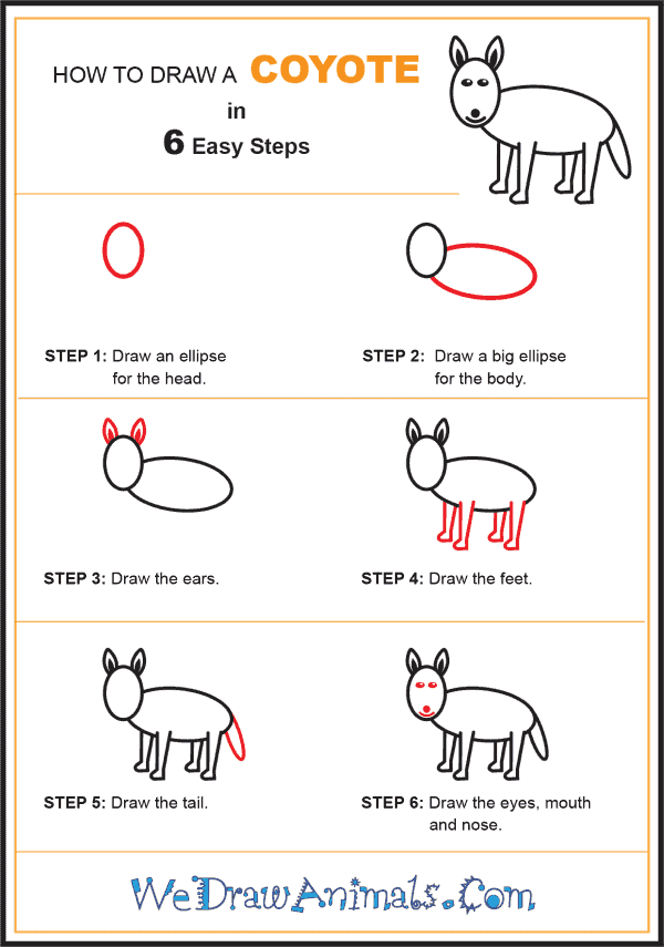 How to Draw a Coyote for Kids - Step-by-Step Tutorial