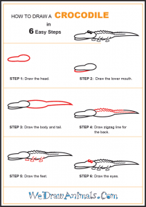 How to Draw a Simple Crocodile for Kids