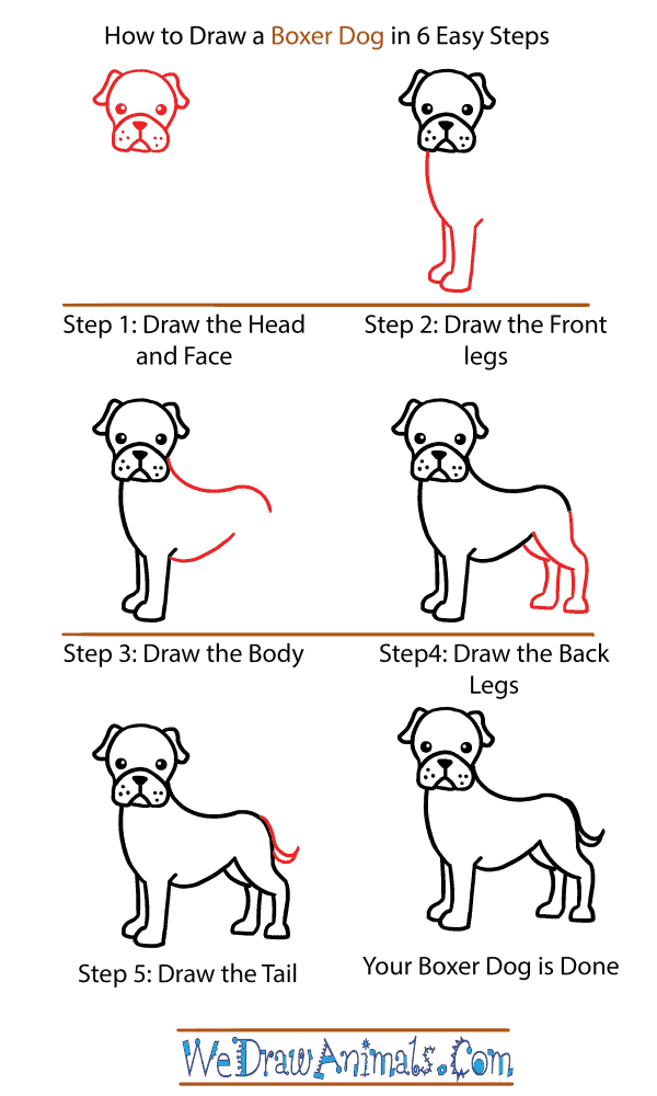 How to Draw a Cute Boxer Dog - Step-by-Step Tutorial