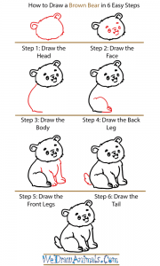 How to Draw a Cute Brown Bear
