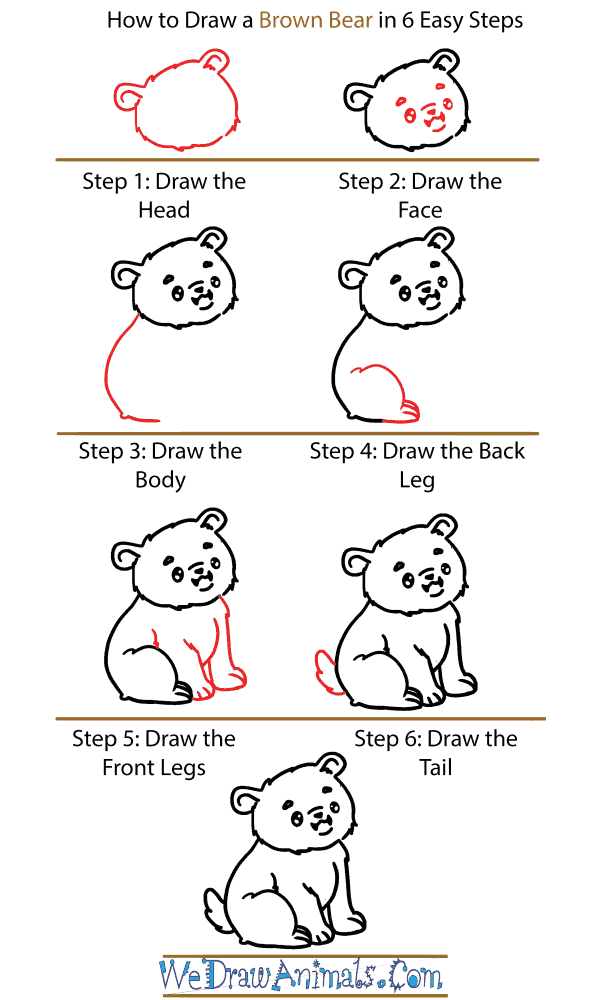 How to Draw a Cute Brown Bear - Step-by-Step Tutorial