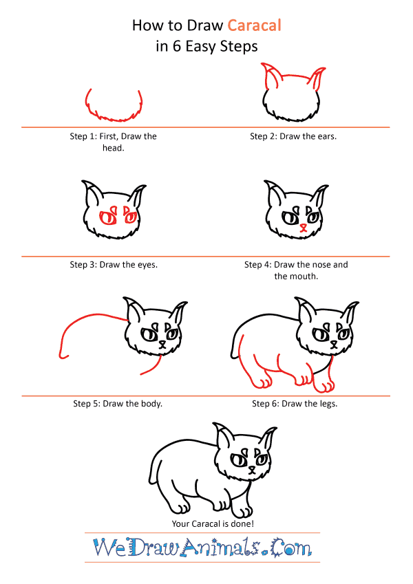 How to Draw a Cute Caracal - Step-by-Step Tutorial