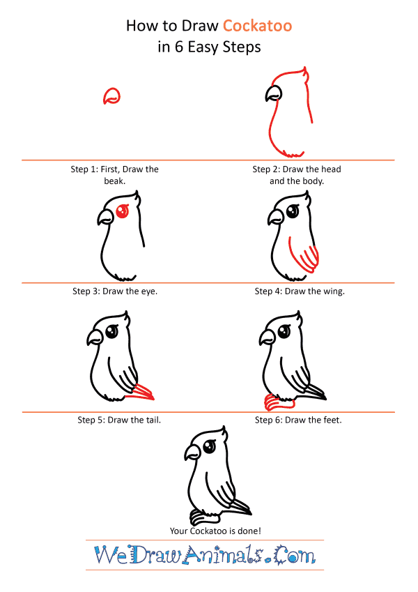 How to Draw a Cute Cockatoo - Step-by-Step Tutorial