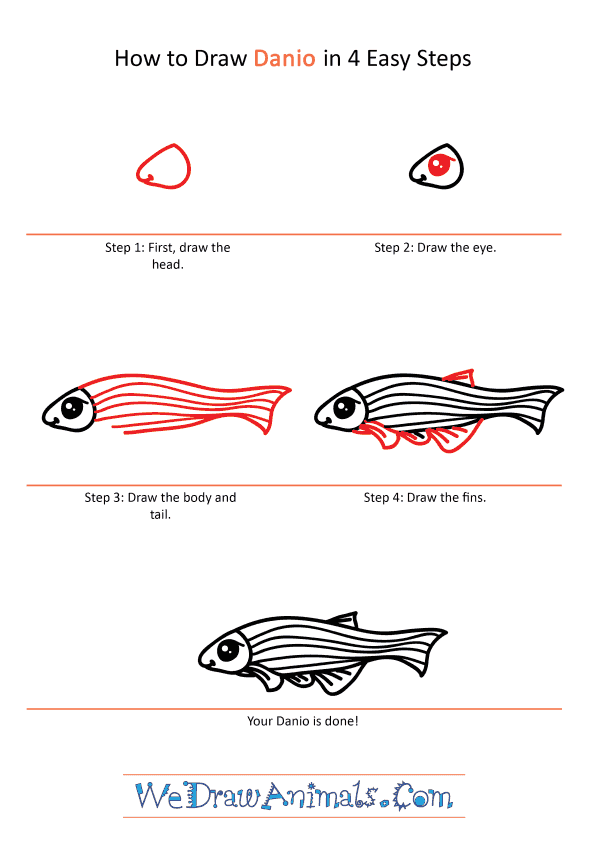 How to Draw a Cute Danio - Step-by-Step Tutorial