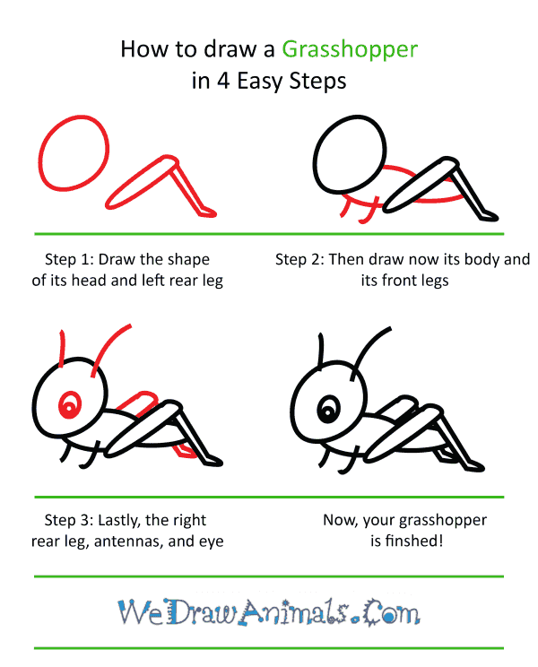 How to Draw a Cute Grasshopper - Step-by-Step Tutorial