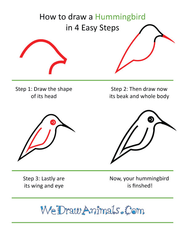 How to Draw a Cute Hummingbird - Step-by-Step Tutorial
