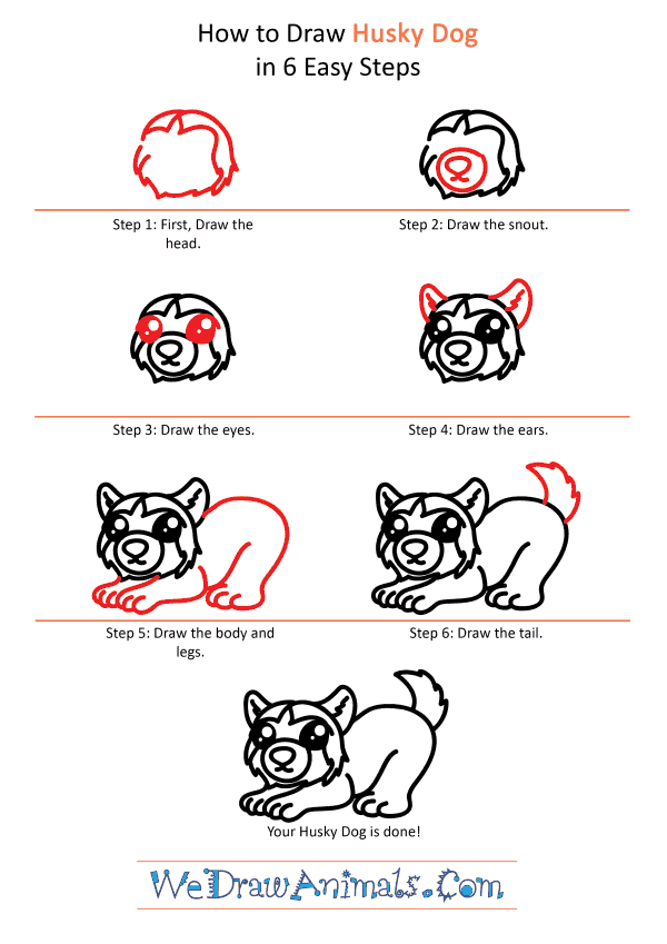 How to Draw a Cute Husky Dog - Step-by-Step Tutorial