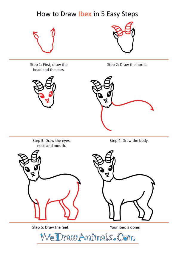 How to Draw a Cute Ibex - Step-by-Step Tutorial