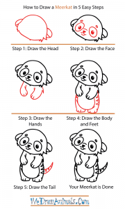 How to Draw a Cute Meerkat