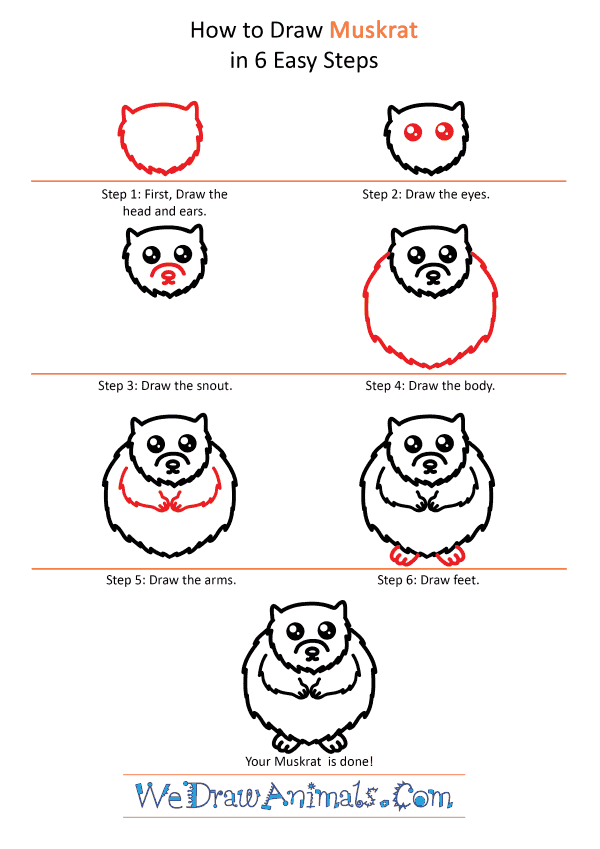 How to Draw a Cute Muskrat - Step-by-Step Tutorial