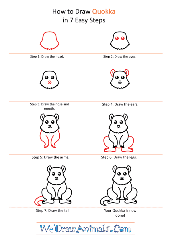 How to Draw a Cute Quokka - Step-by-Step Tutorial