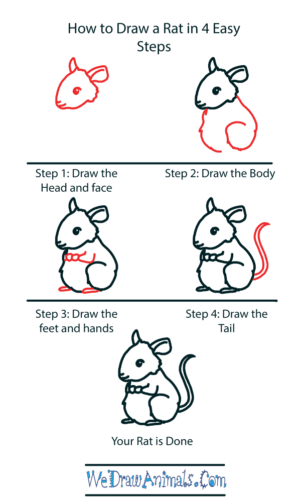 How to Draw a Cute Rat