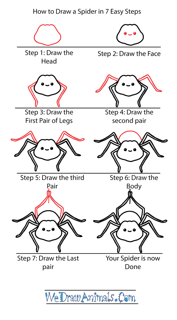 How to Draw a Cute Spider - Step-by-Step Tutorial
