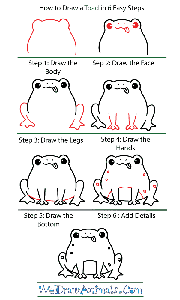 How to Draw a Cute Toad - Step-by-Step Tutorial