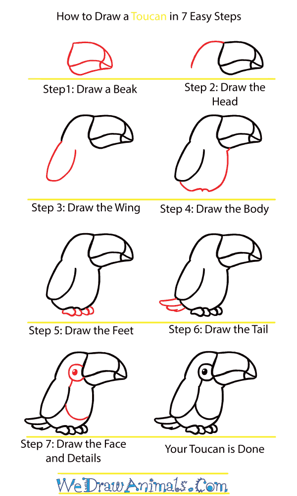 How to Draw a Cute Toucan - Step-by-Step Tutorial